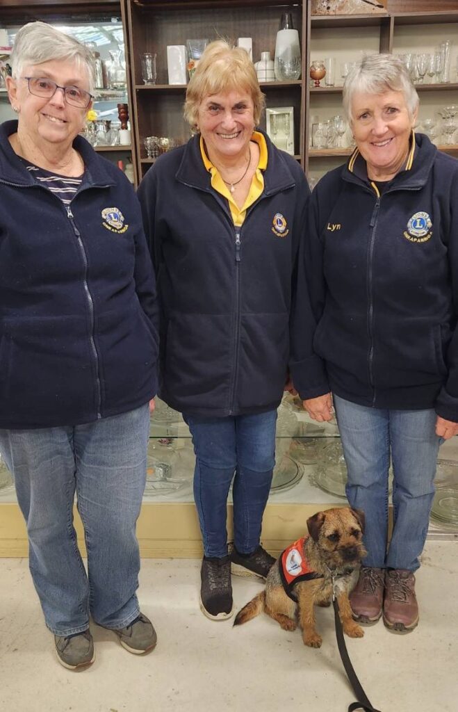 Garth puppy at the shed - Onkaparinga Lions Club